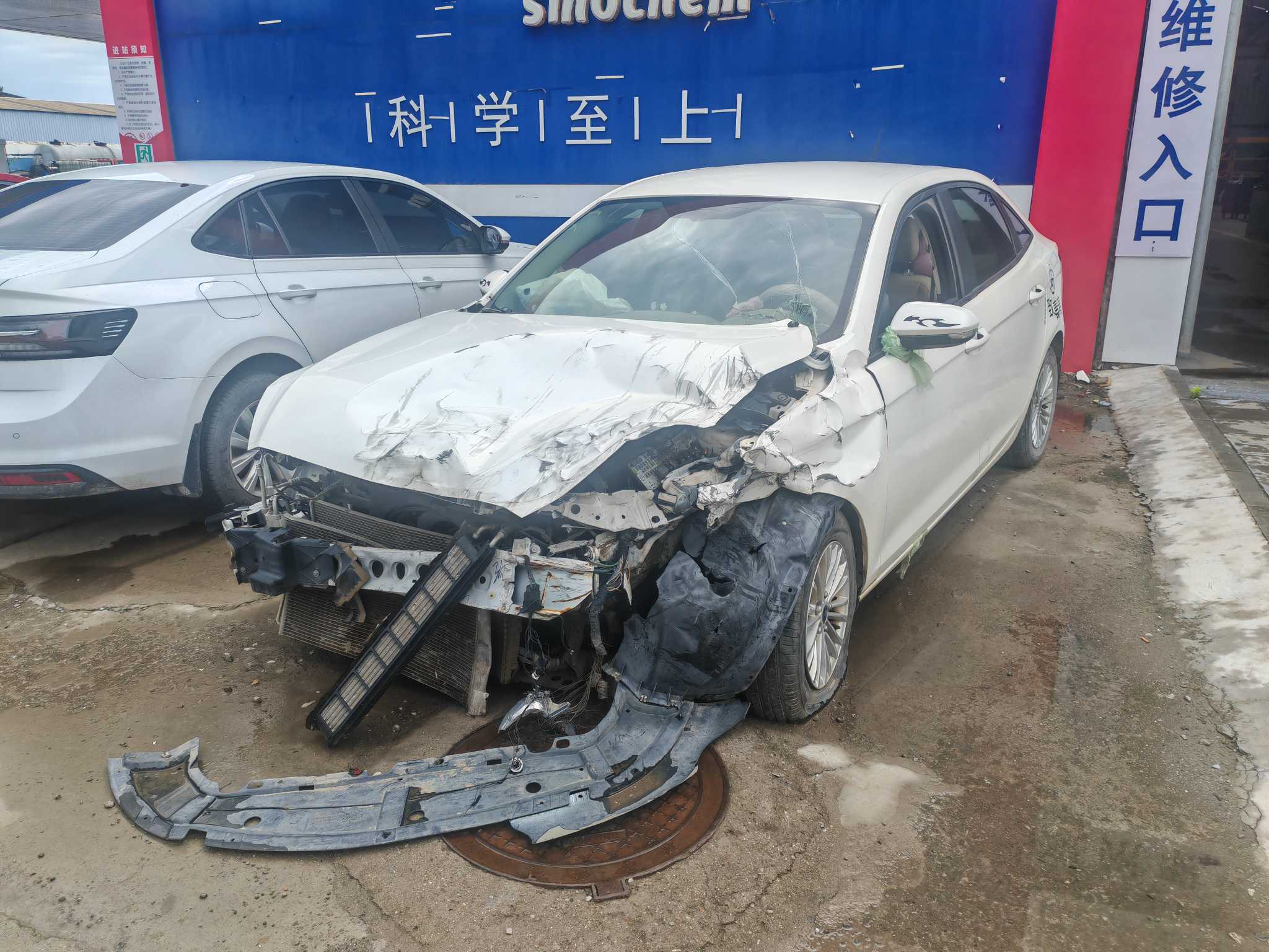 福睿斯
