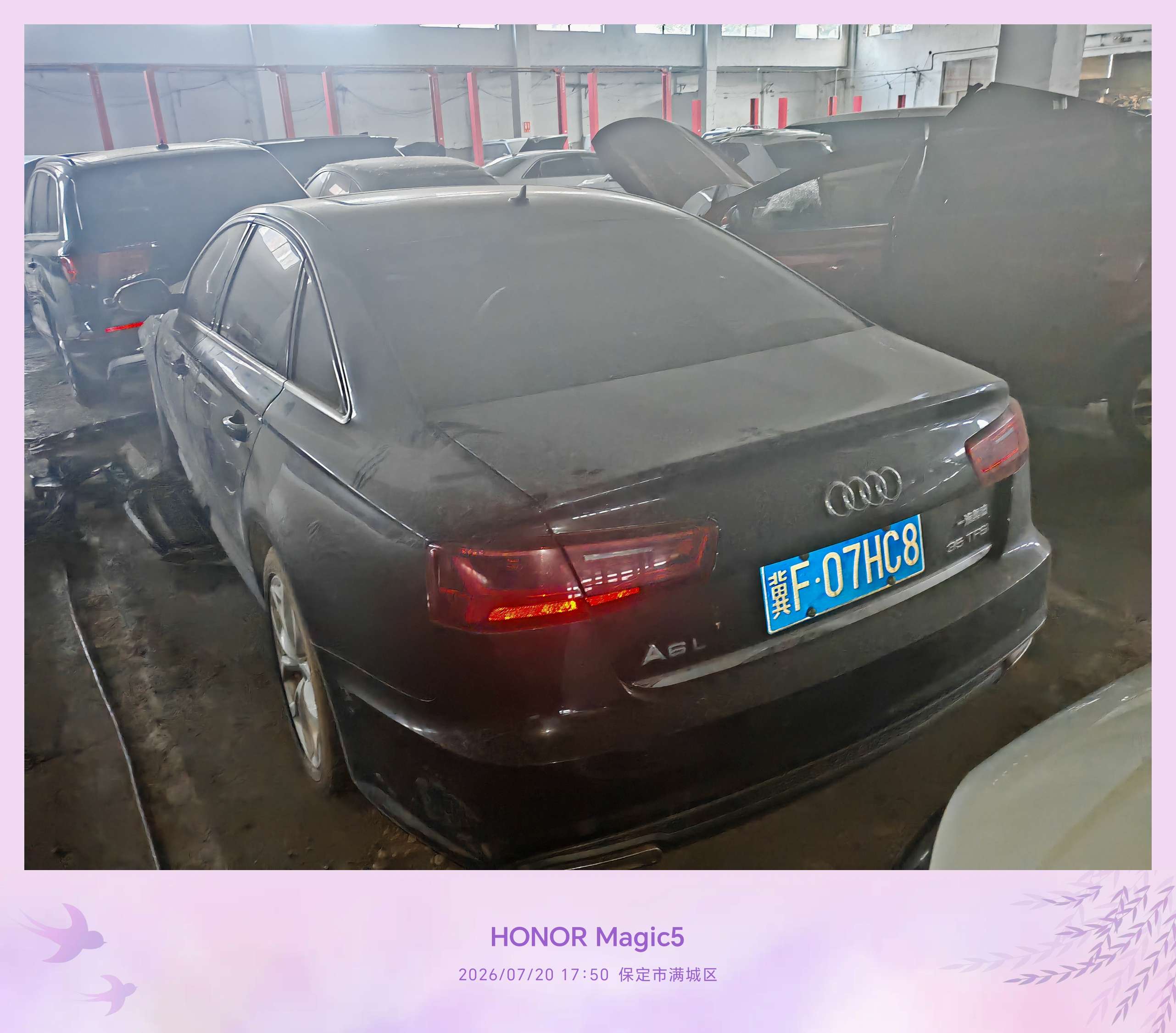 A6L(2012-2019)