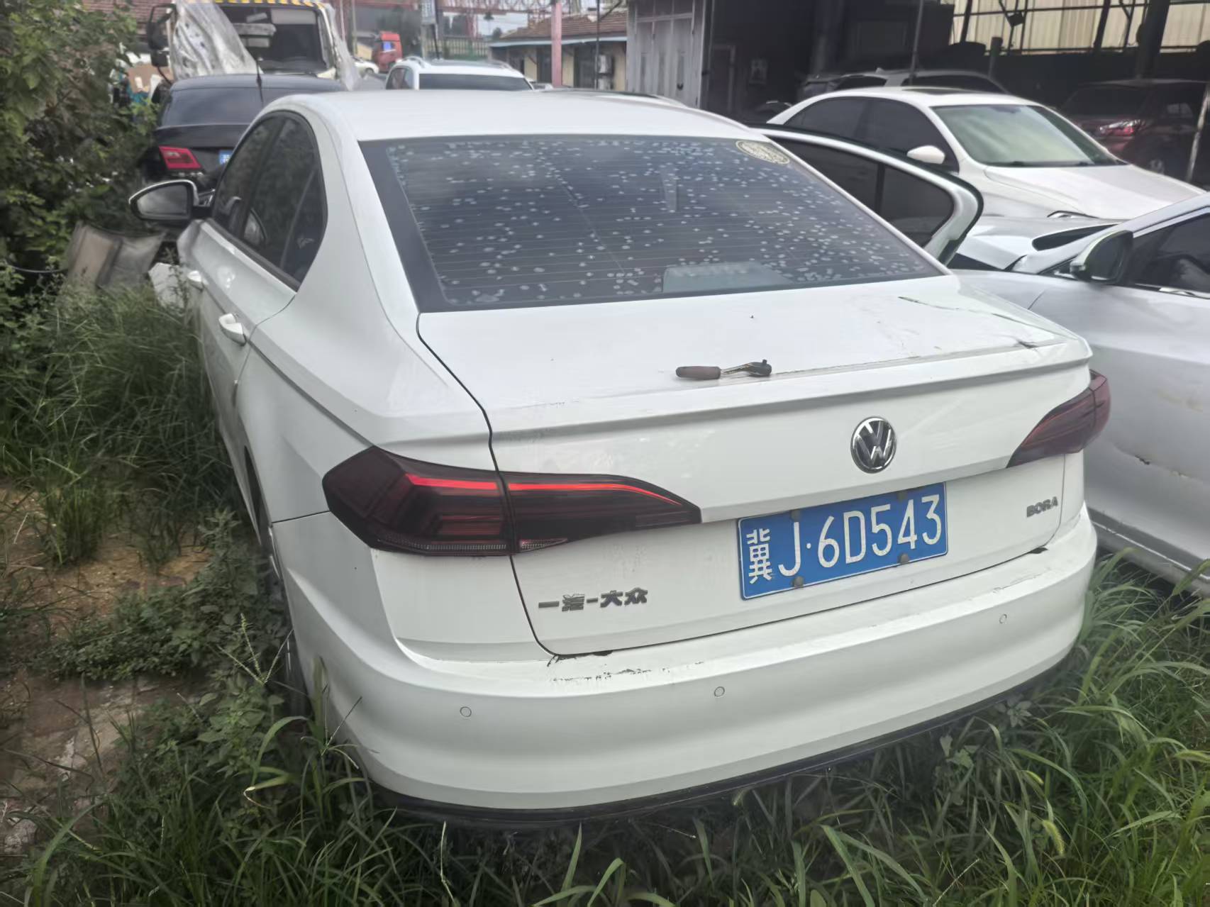 宝来(2019-
