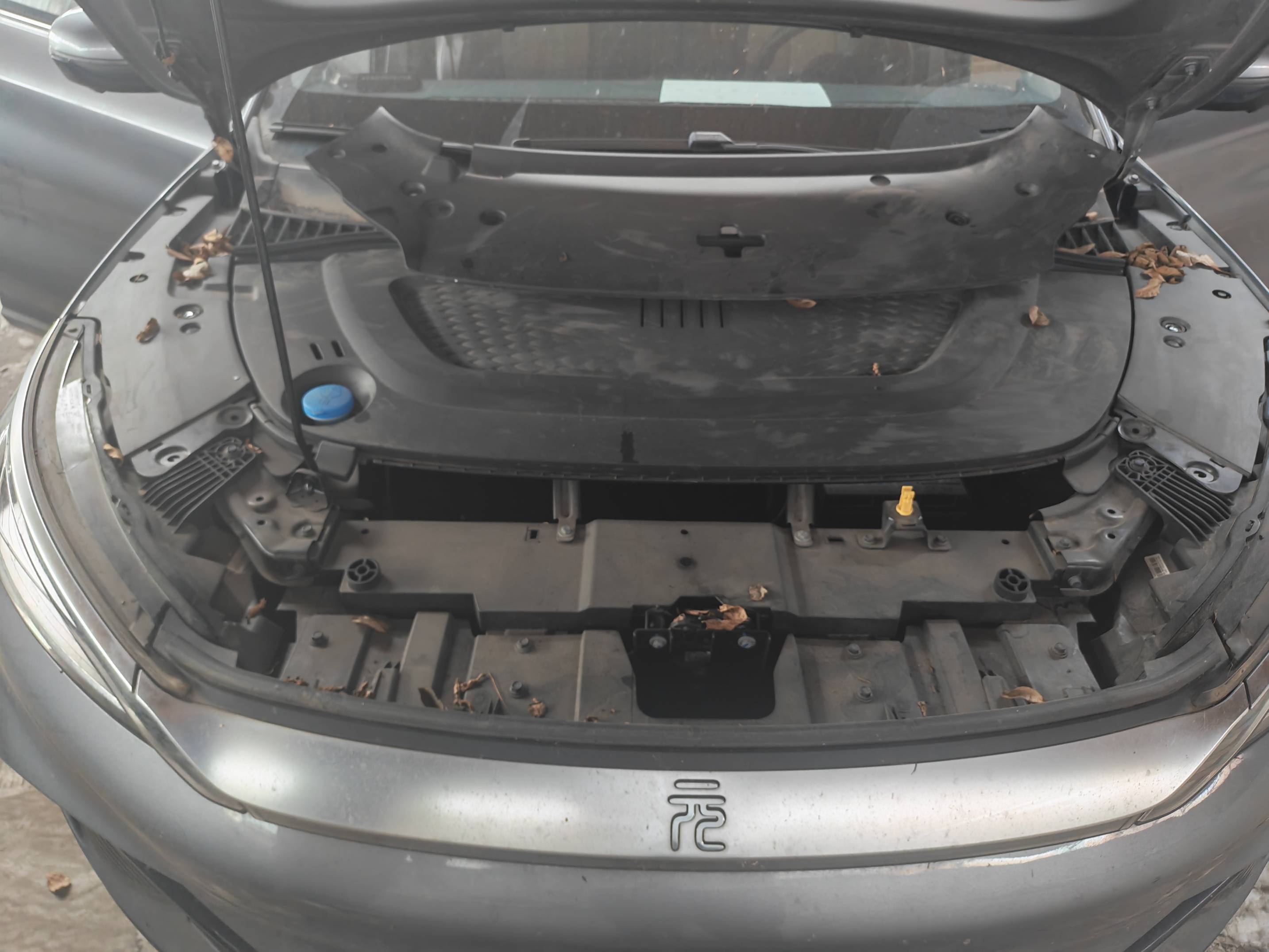 元PLUS EV(2022-2025)