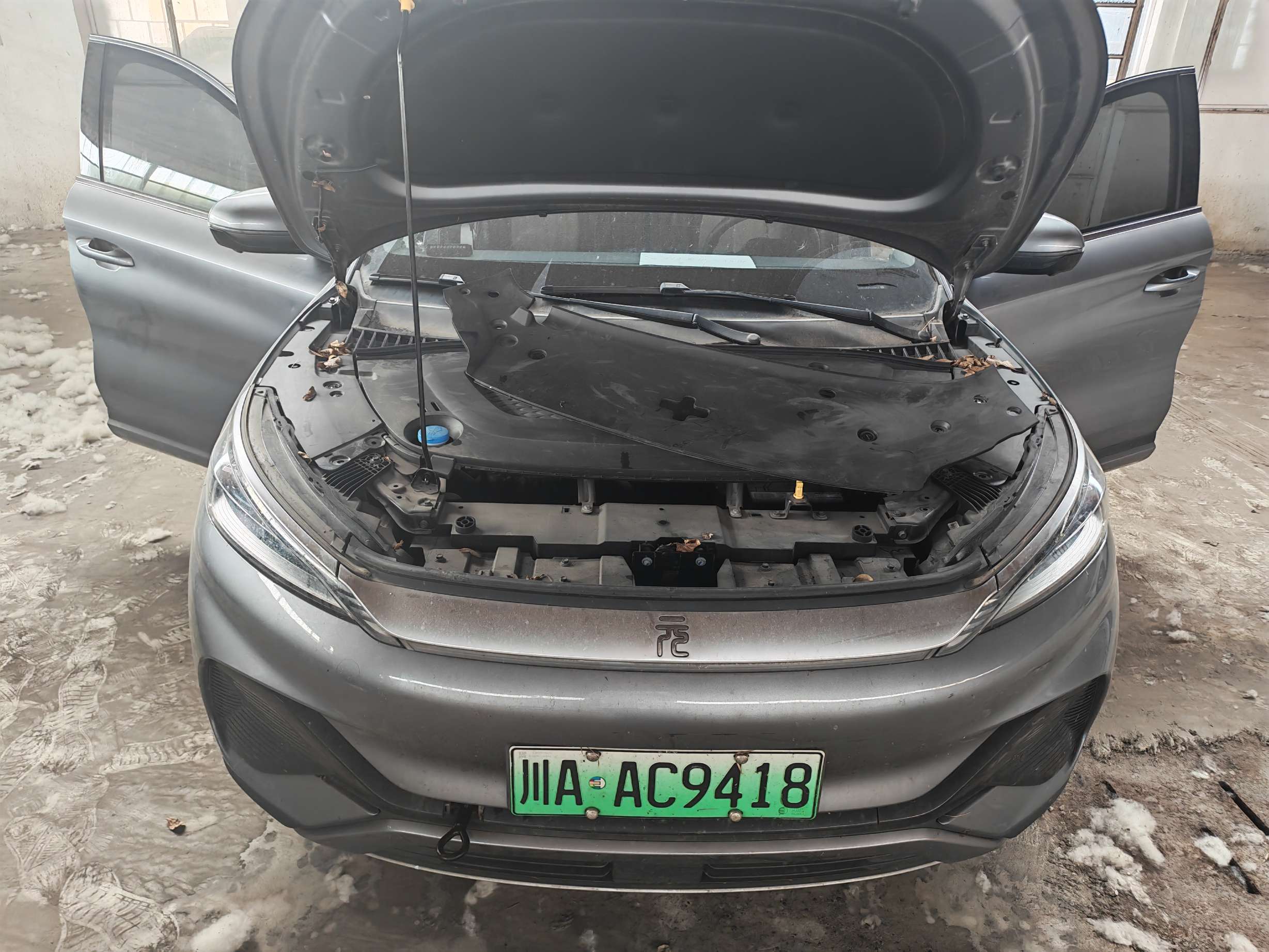 元PLUS EV(2022-2025)