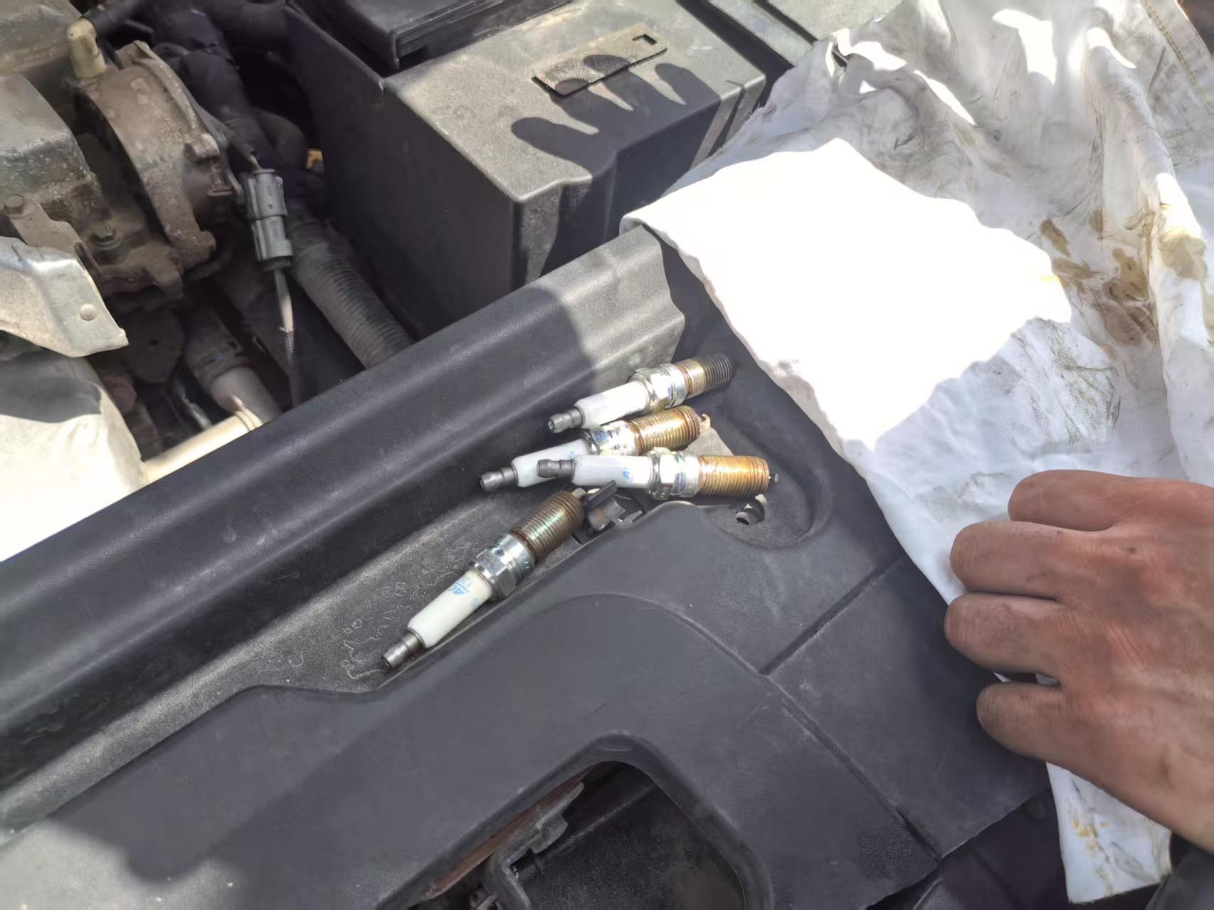 GL8