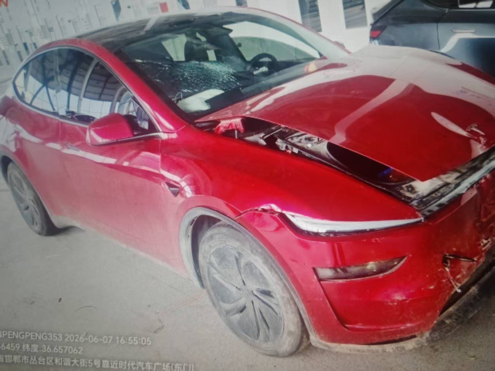 Model Y