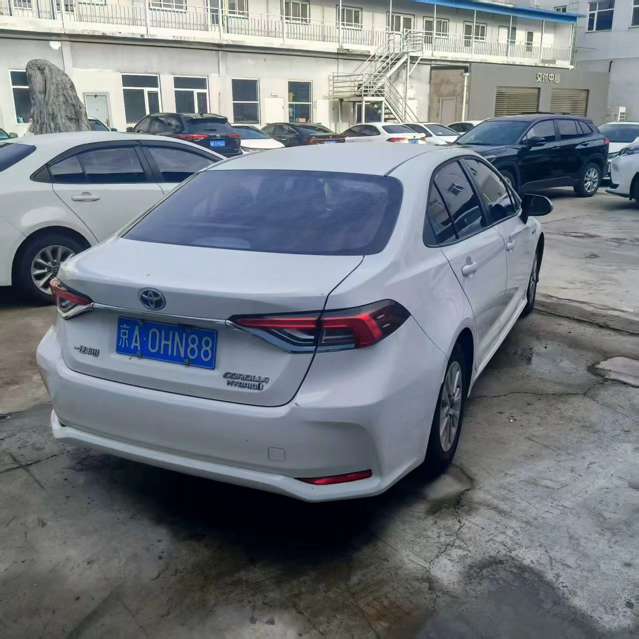 卡罗拉（2019-2024）