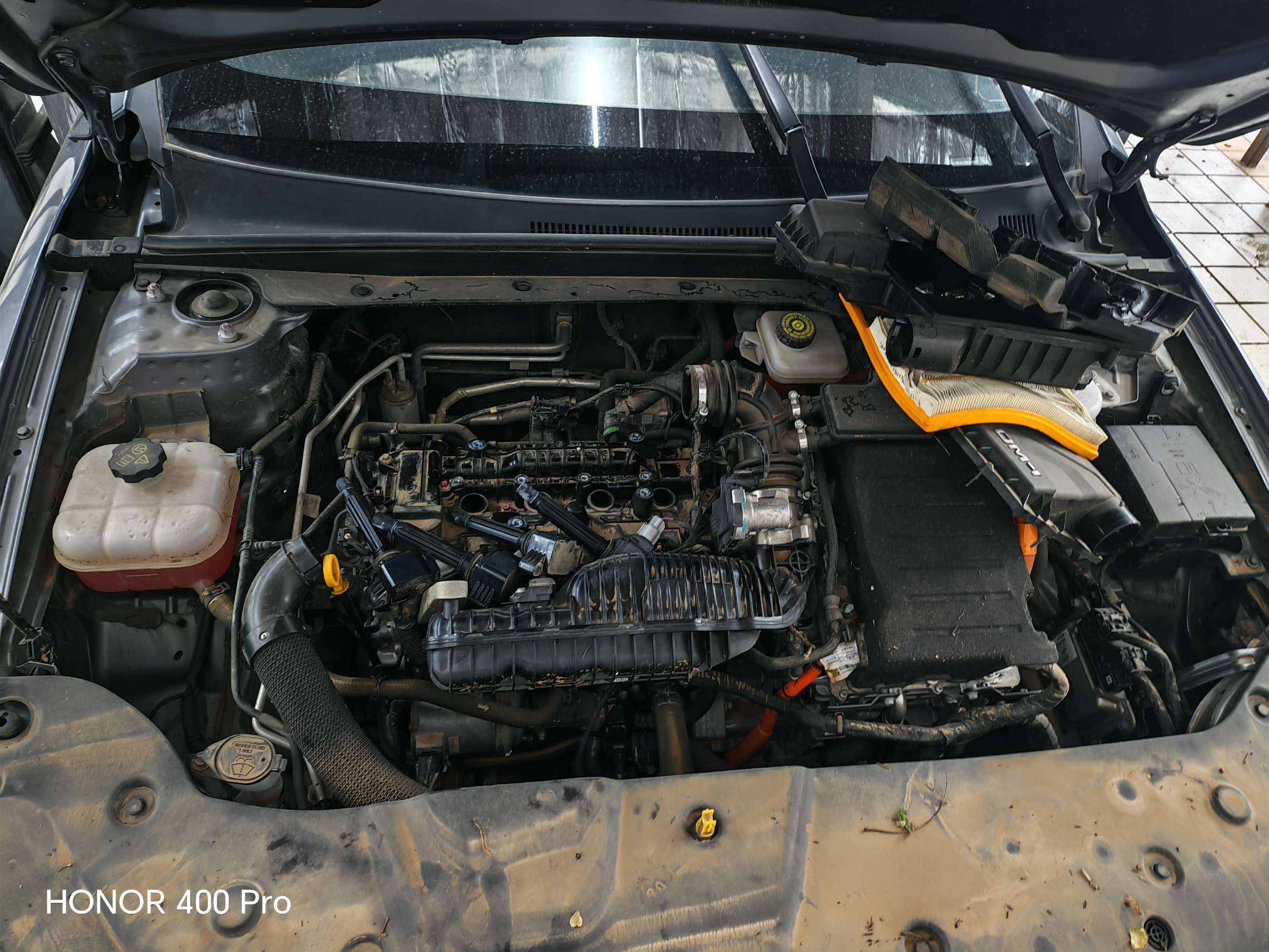 秦 PLUS（2021-