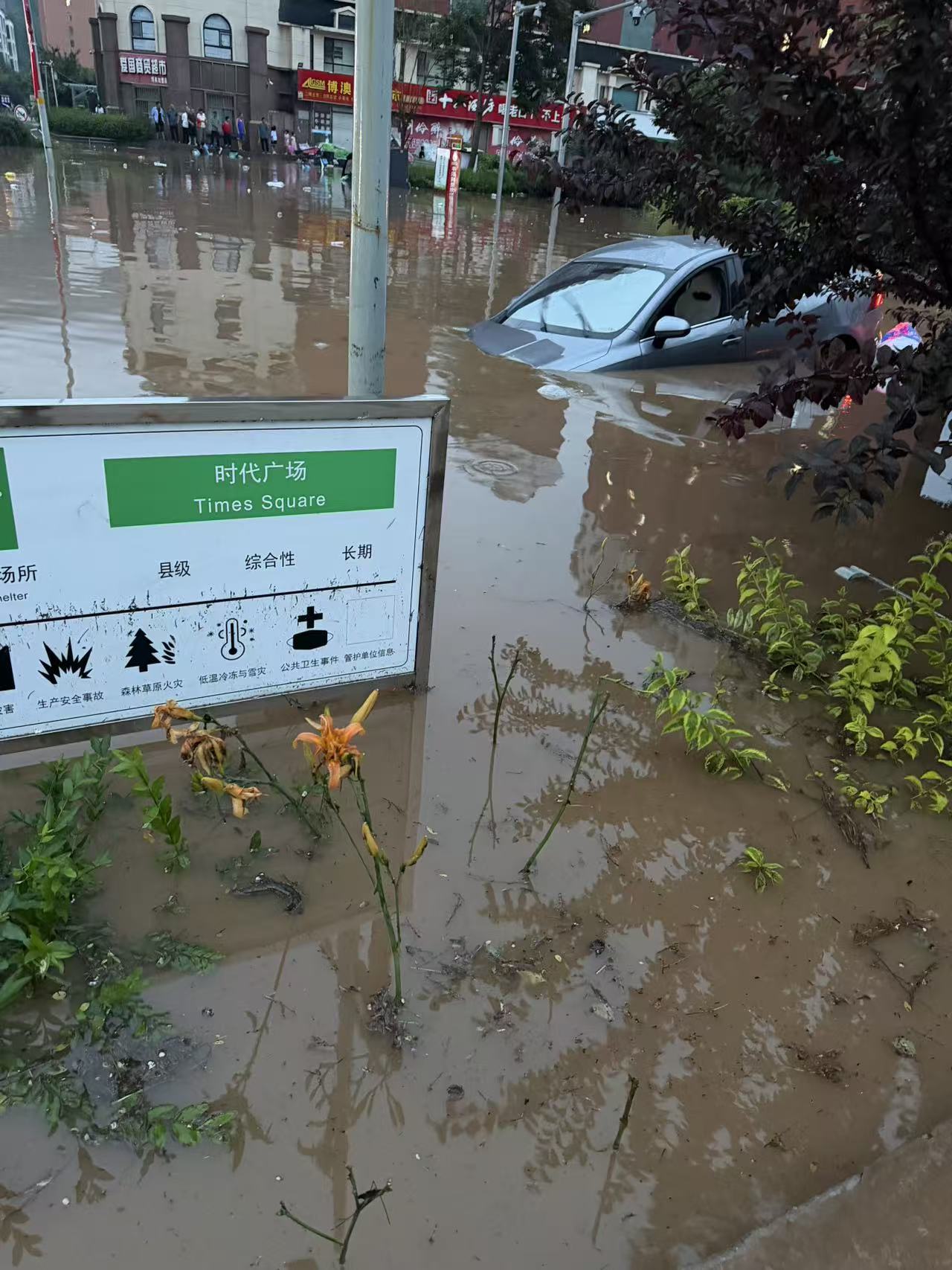 秦 PLUS（2021-