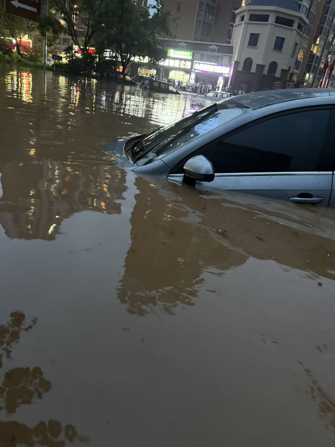秦 PLUS（2021-