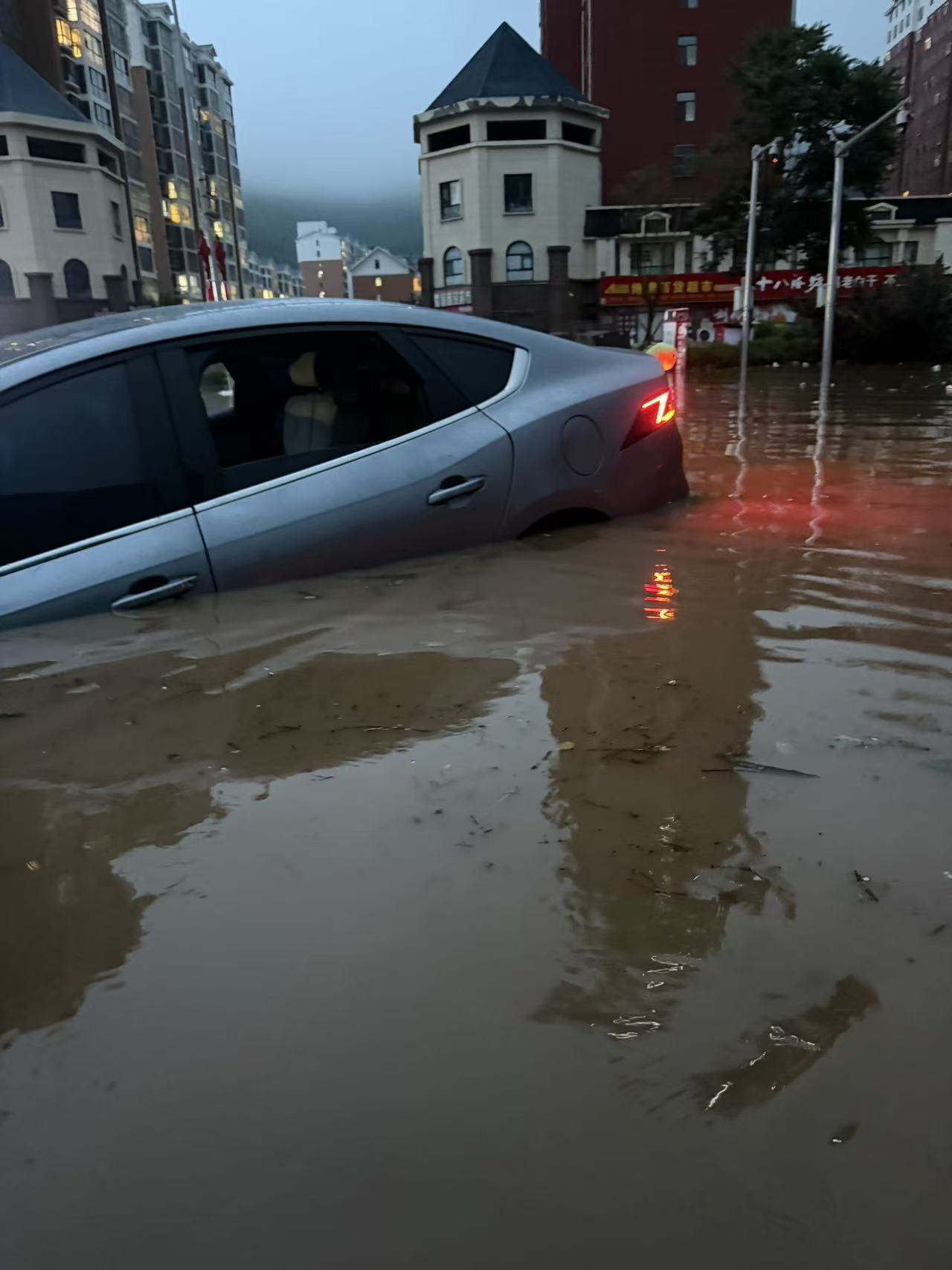 秦 PLUS（2021-