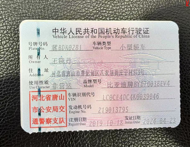 元 EV（2018-2019）