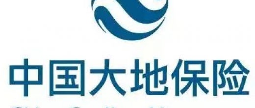 3.11大地保险专场